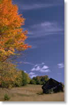 cabin in field